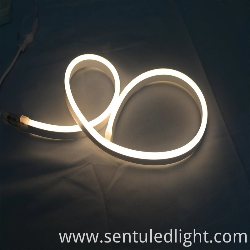 CE RoHS Approvaled SMD5050 Wholesale LED Neon Flex (08*16mm)